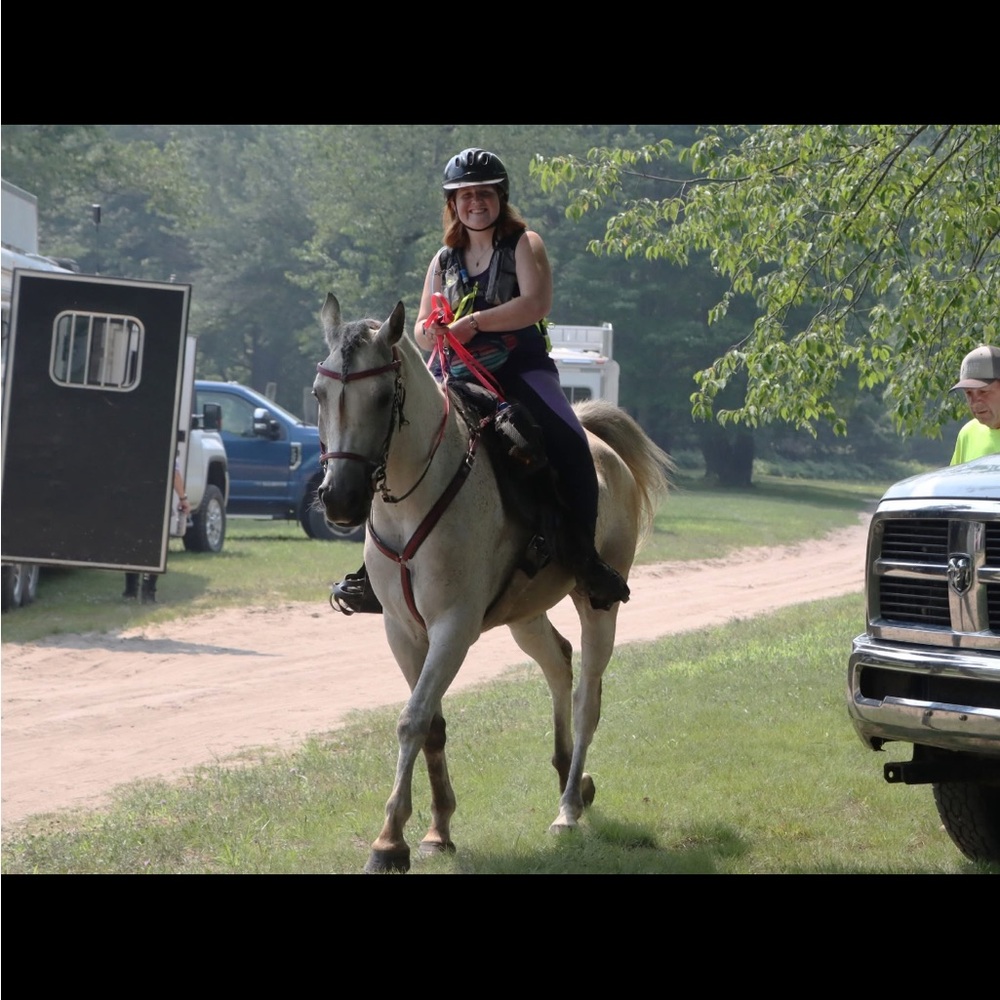 Shore to Shore Endurance Riding Experience 2025